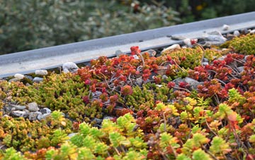 the cost of Rumburgh green roof installation