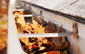 Rumburgh gutter cleaning companies