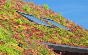 Rumburgh living roof systems