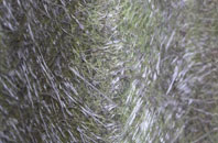 Rumburgh fibreglass roof work